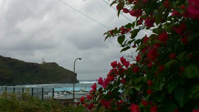11月 17日 秋季休業終わり~_b0158746_17483886.jpg