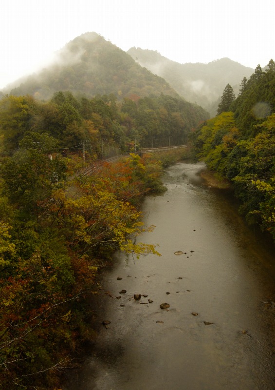 雨の県民の森_c0238352_23564621.jpg