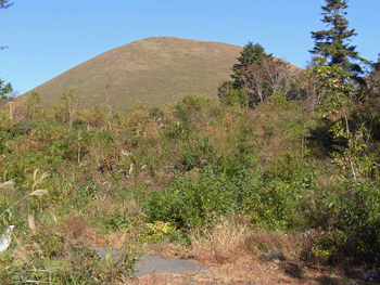 a0044453_10225072.gif