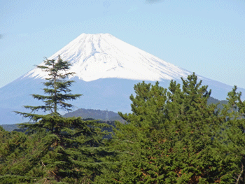a0044453_10234578.gif