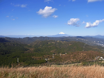 a0044453_10274049.gif