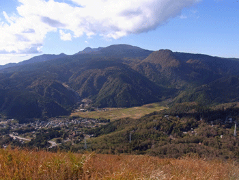 a0044453_1028430.gif