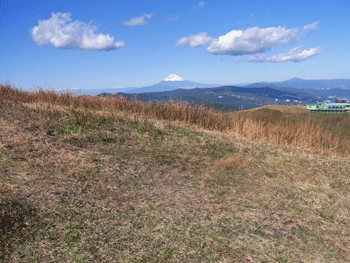 a0044453_1029218.gif