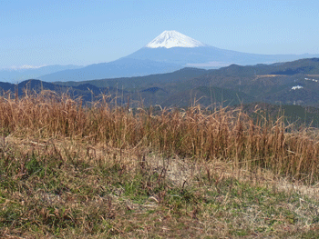 a0044453_10293272.gif