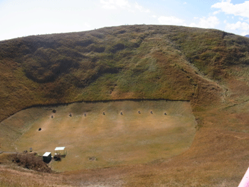 a0044453_16561585.gif
