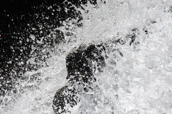 b0283455_757304.jpg