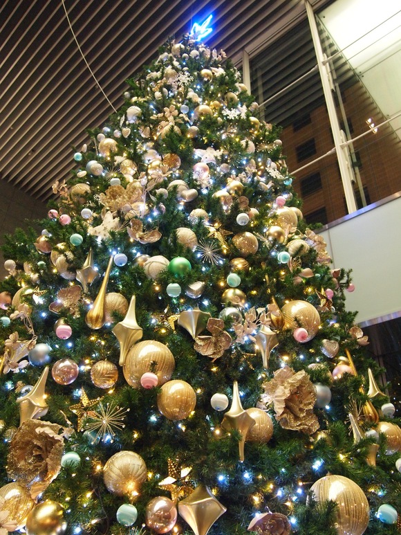 f0163160_13773.jpg