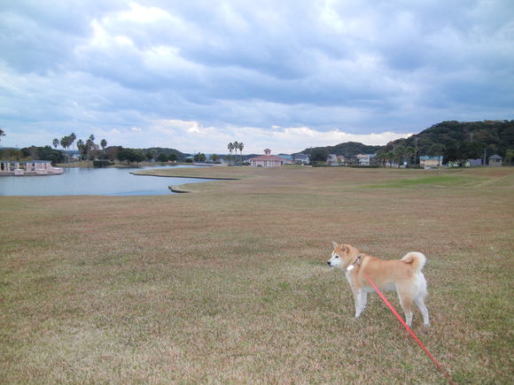 ’12,11,17(土)ポルトガル旅行9日目シントラ編!_f0060461_1527362.jpg