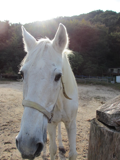 c0260463_161543.jpg