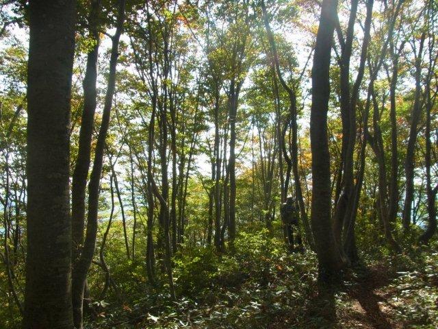 c0260463_16155746.jpg