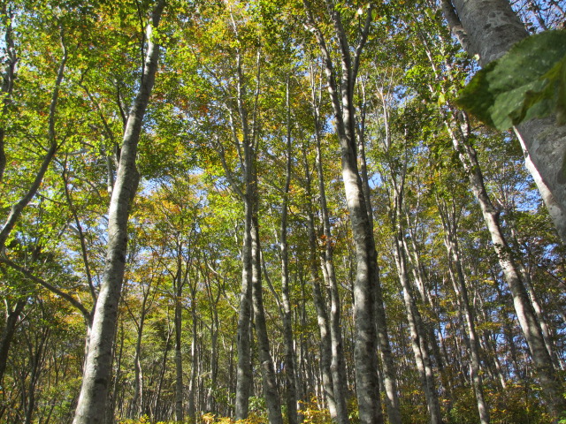 c0260463_16351380.jpg