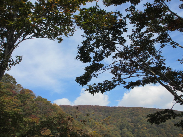 c0260463_16414275.jpg