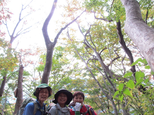 c0260463_16435254.jpg