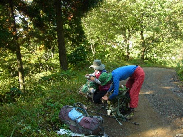 c0260463_1684460.jpg