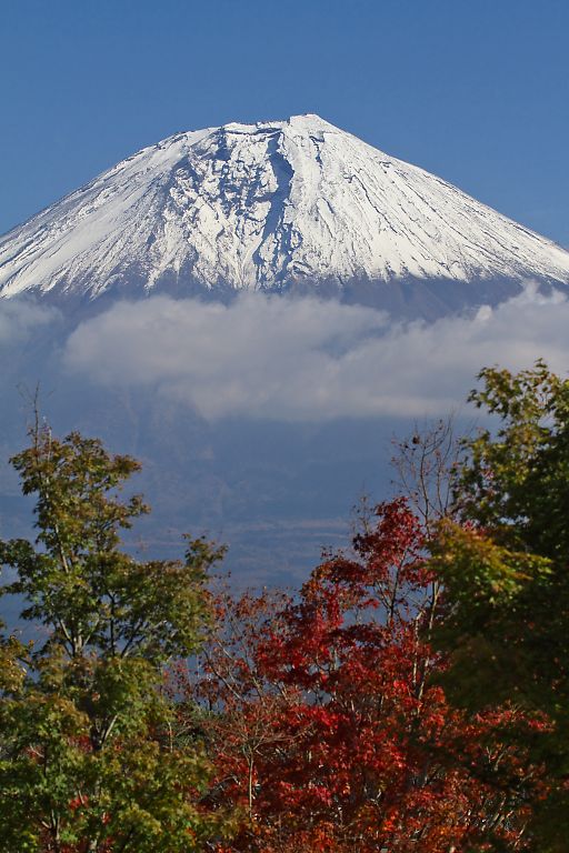 富士宮　白糸の滝、田貫湖(１１月８日）_c0057265_355536.jpg