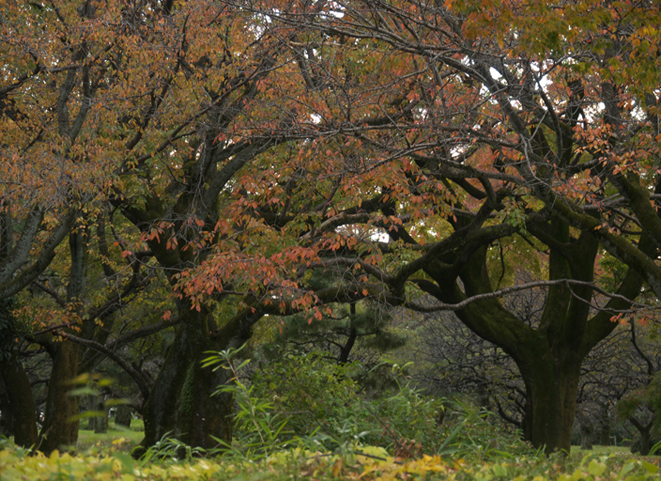 風景_c0259677_14371592.jpg