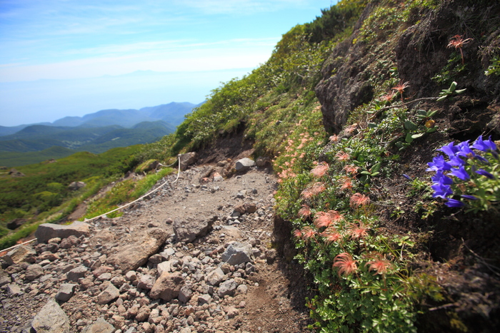 1660m　～羅臼岳　Ⅳ_f0057178_1030252.jpg