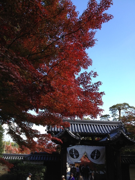 光明寺から善峯寺_c0180581_12474022.jpg