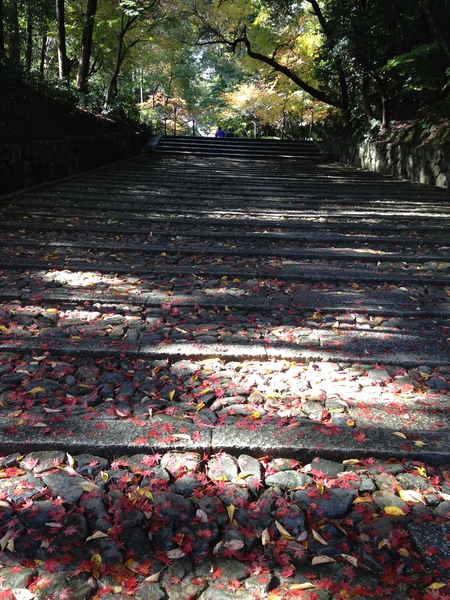 光明寺から善峯寺_c0180581_12482514.jpg