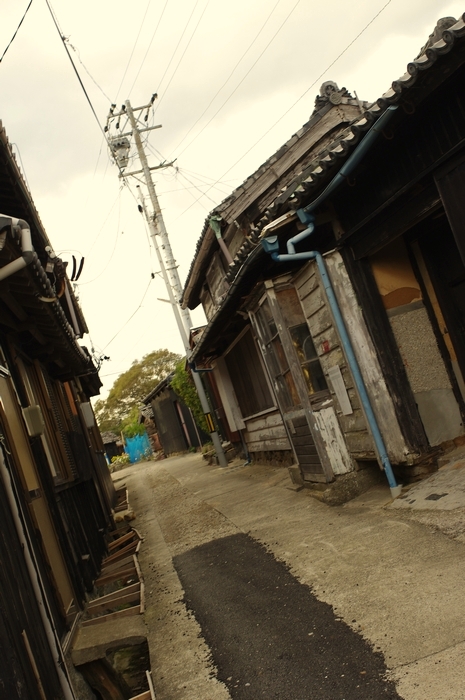 写真部　大人の遠足　「佐久島」　２　_c0213585_9195546.jpg