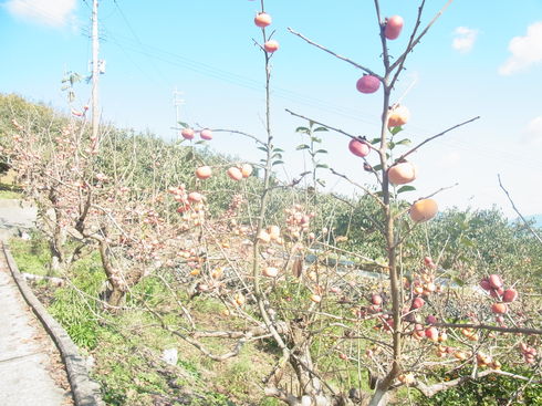 a0207588_22323615.jpg