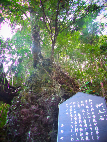 a0207588_2251280.jpg