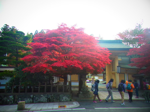 a0207588_2259032.jpg