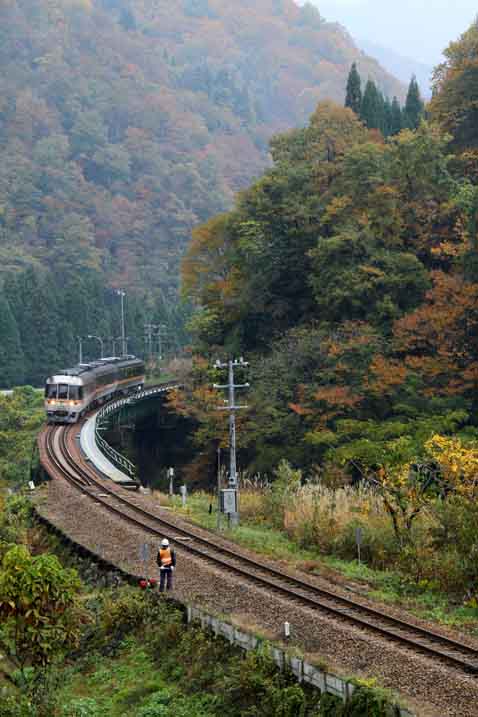 撮り鉄ー紅葉を縫う鉄道・高山線より_d0088788_04371.jpg