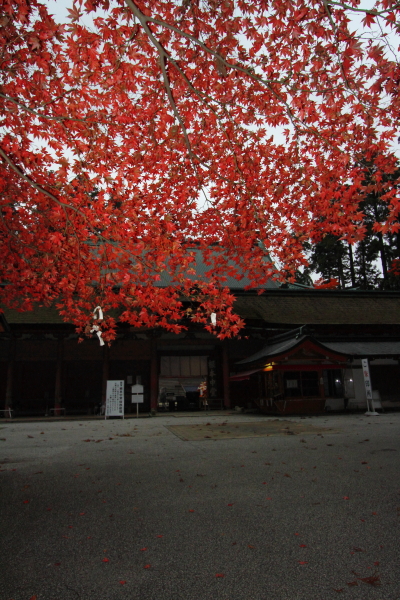 比叡山延暦寺_e0051888_2305799.jpg