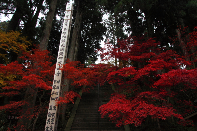 比叡山延暦寺_e0051888_2311161.jpg