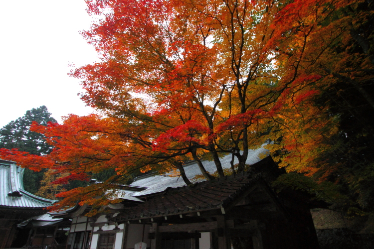 比叡山延暦寺_e0051888_2324527.jpg