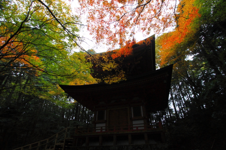 比叡山延暦寺_e0051888_233117.jpg