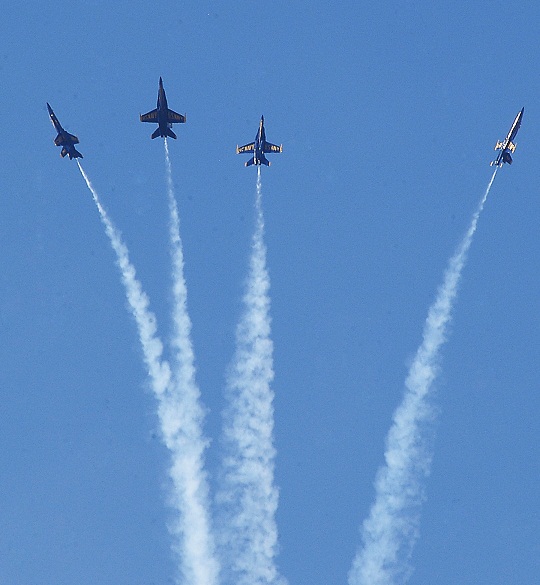e0161692_33026100.jpg