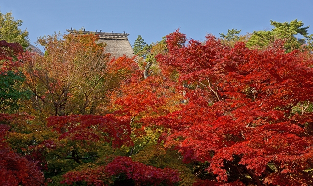 b0145398_23275065.jpg