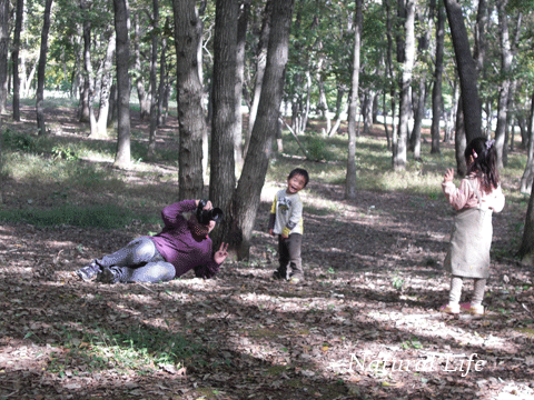 b0162000_4535718.gif