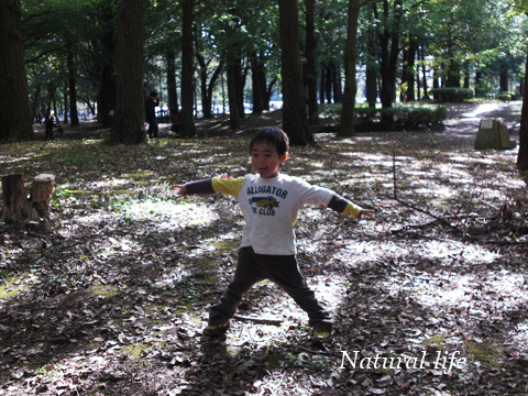 b0162000_4563115.gif