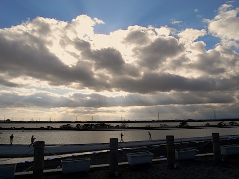 d0166900_17481449.jpg