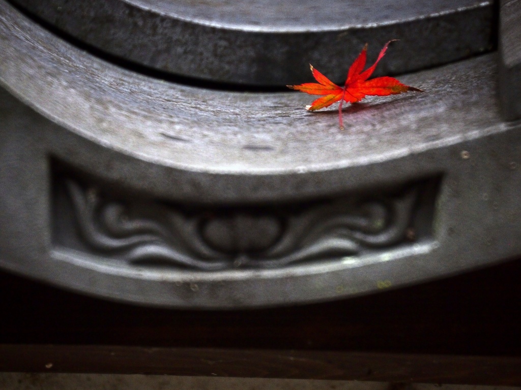 南河内三山の紅葉 ～ 天野山金剛寺① 「瓦と紅葉」_b0138101_19234282.jpg