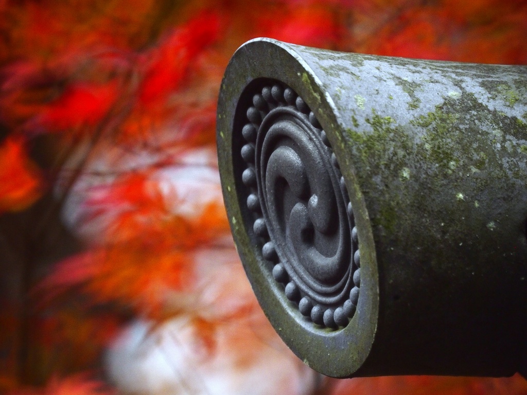 南河内三山の紅葉 ～ 天野山金剛寺① 「瓦と紅葉」_b0138101_19235336.jpg