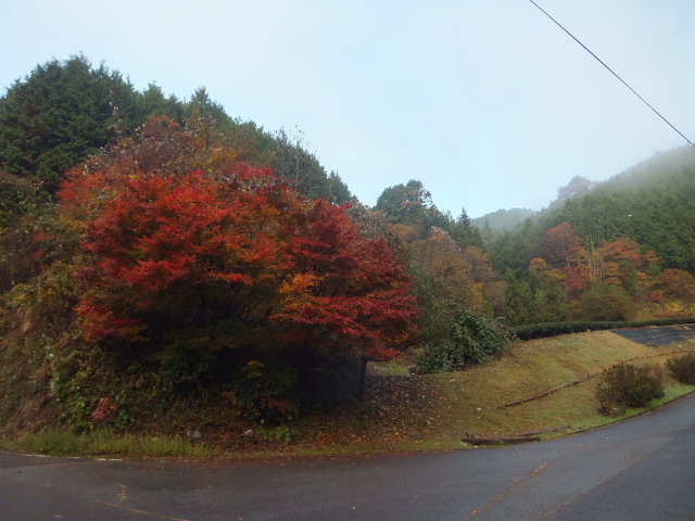 a0271502_20582559.jpg
