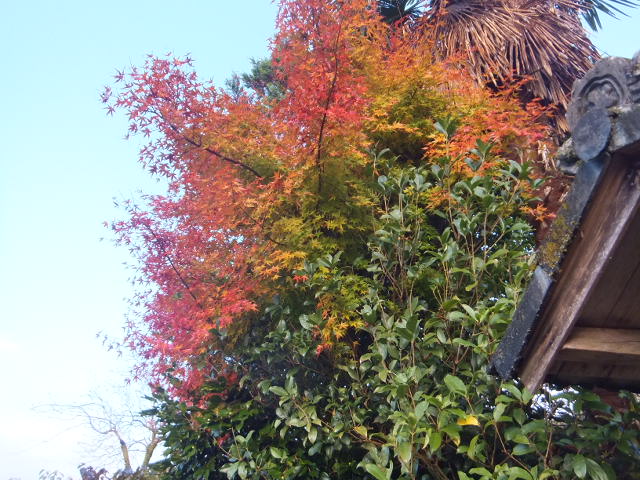 a0271502_2161878.jpg