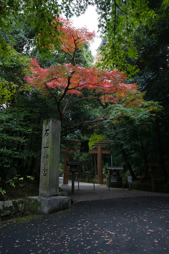 朝から紅葉に出遅れる。_c0043403_2133476.jpg