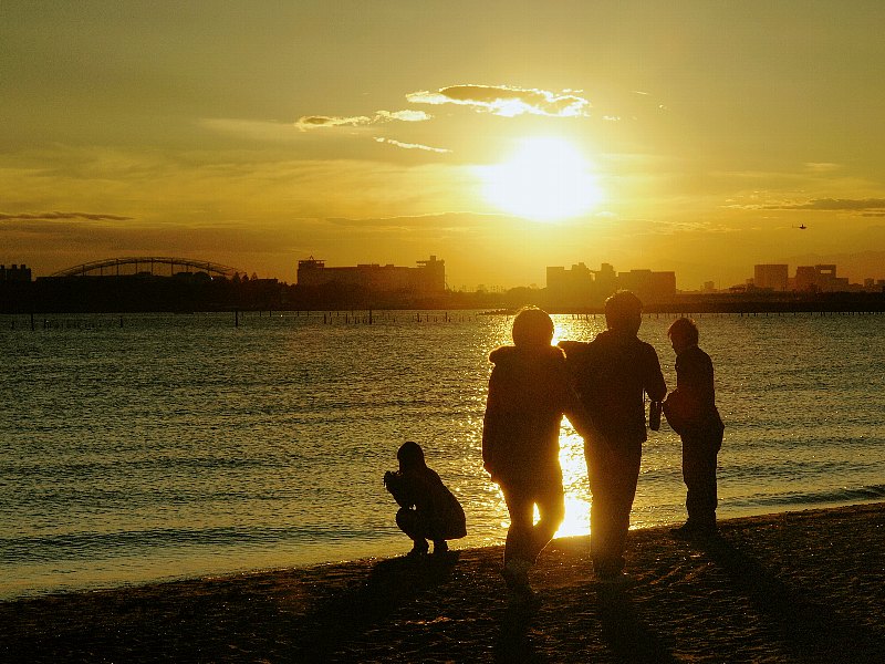 葛西臨海公園の夕景　その２_b0231705_21555888.jpg