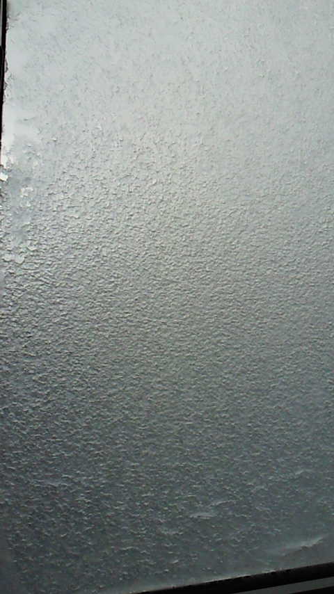 d0149105_12514982.jpg