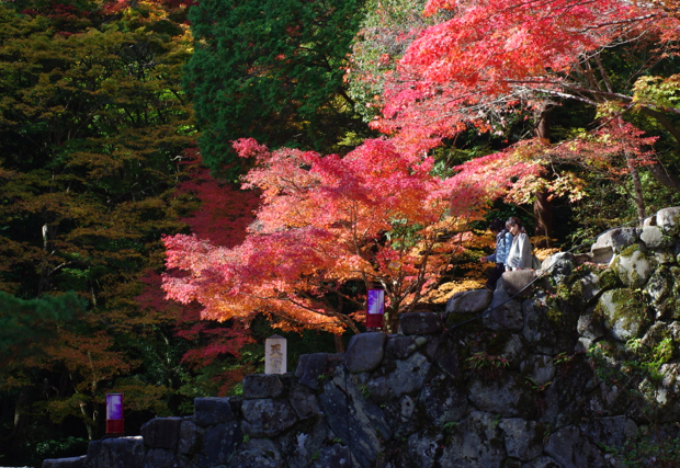 ♪221...はじめて行く秋の京都_a0146011_1837389.jpg