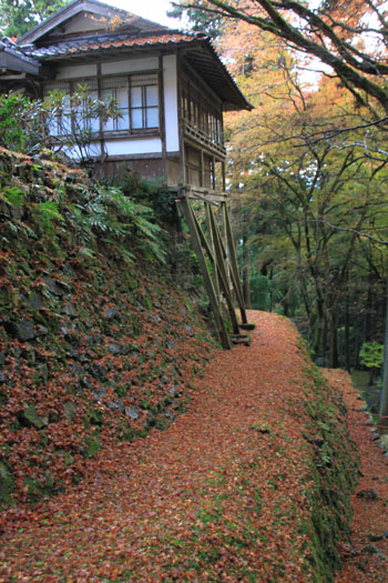 紅葉だより19 阿弥陀寺_e0048413_20322521.jpg
