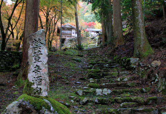 紅葉だより19 阿弥陀寺_e0048413_2032423.jpg