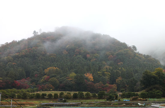 紅葉だより21　禅華院と修学院離宮_e0048413_21384798.jpg