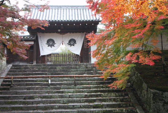 紅葉だより20　曼殊院_e0048413_2141382.jpg