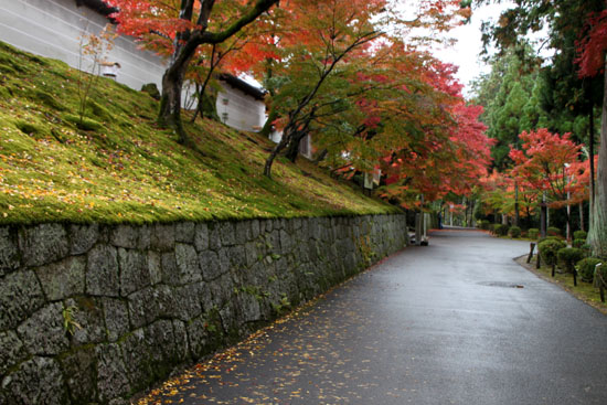 紅葉だより20　曼殊院_e0048413_214251.jpg